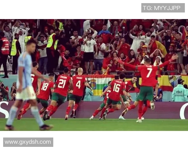 2014年世界杯葡萄牙与法国激战回顾及精彩瞬间分析