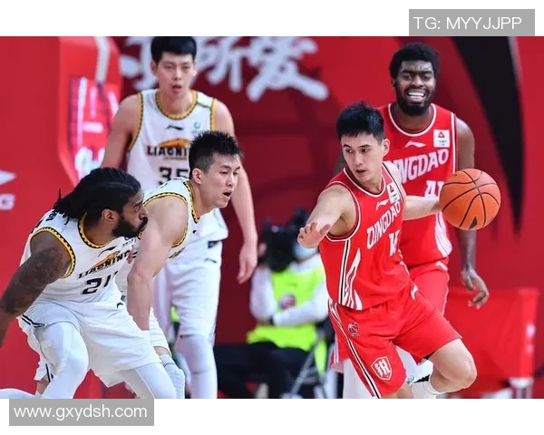 2016至2017赛季辽宁队与青岛队精彩对决回顾与分析