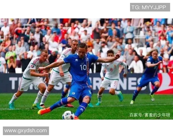 冰岛与匈牙利精彩对决完整视频回顾及赛后分析