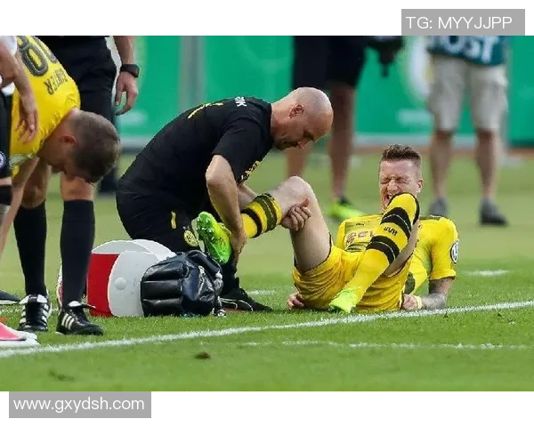 德国与法国足球对决前的伤停情况分析与影响探讨 德国与法国足球对决前的伤停情况分析与影响探讨