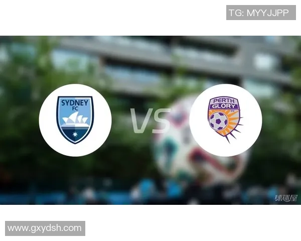 悉尼与珀斯比赛数据深度分析及趋势预测探讨