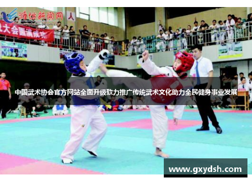 中国武术协会官方网站全面升级致力推广传统武术文化助力全民健身事业发展