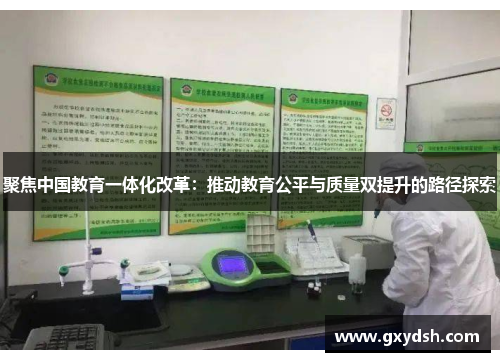 聚焦中国教育一体化改革：推动教育公平与质量双提升的路径探索