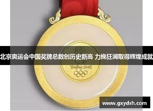 北京奥运会中国奖牌总数创历史新高 力挽狂澜取得辉煌成就