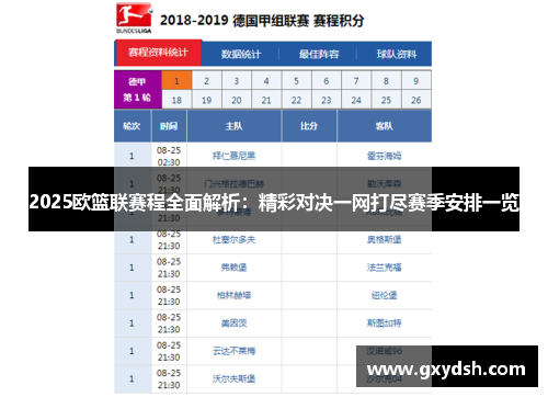 2025欧篮联赛程全面解析：精彩对决一网打尽赛季安排一览
